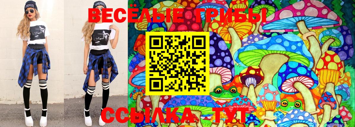 Камень-на-Оби  Псилоцибиновые грибы Psilocybe  Вход с VPN  Галлюциногенные грибы мухоморы 