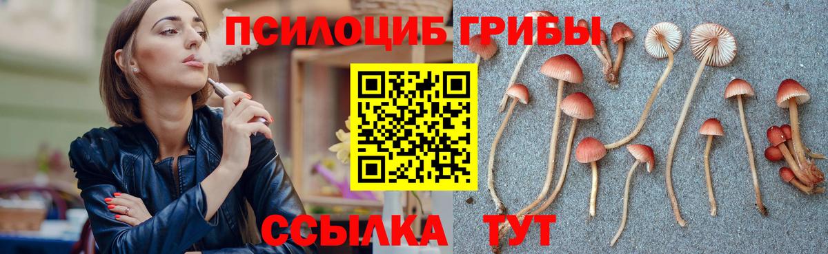 Псилоцибиновые грибы Magic Shrooms Камень-на-Оби