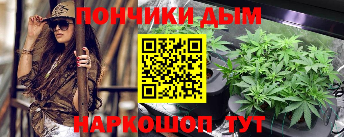 Шишки марихуана VHQ  Вход с VPN  Камень-на-Оби  Бошки марихуана тримм  Канабис Ganja  Бошки Шишки планчик 